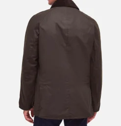 BARBOUR Ashby Jacket Olive* Veste|Coats & Jackets