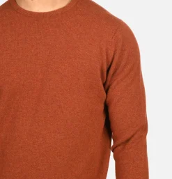 WILLIAM LOCKIE Round Neck Pullover Tiger* Knitwear