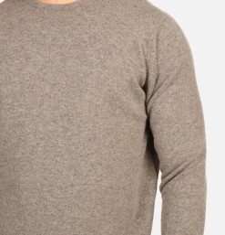 WILLIAM LOCKIE Round Neck Pullover Vole* Knitwear